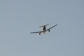 001-dsc_4743.jpg.small.jpeg