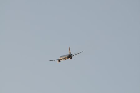 002-dsc_4745.jpg.medium.jpeg