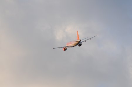 009-dsc_4761.jpg.medium.jpeg