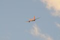 012-dsc_4764.jpg.small.jpeg