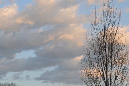 013-dsc_4765.jpg.medium.jpeg