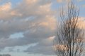 013-dsc_4765.jpg.small.jpeg