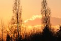 016-dsc_4770.jpg.small.jpeg