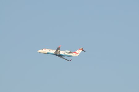 011-dsc_4816.jpg.medium.jpeg