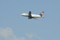 005-dsc_4942.jpg.small.jpeg