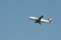007-dsc_4956.jpg.small.jpeg
