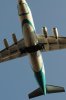039-dsc_5039.jpg.small.jpeg