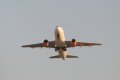 091-dsc_5196.jpg.small.jpeg