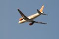 096-dsc_5211.jpg.small.jpeg