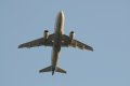 118-dsc_5284.jpg.small.jpeg