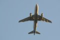 119-dsc_5287.jpg.small.jpeg