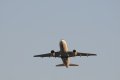 133-dsc_5354.jpg.small.jpeg