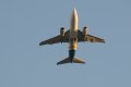 136-dsc_5384.jpg.small.jpeg