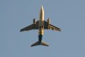 138-dsc_5390.jpg.small.jpeg