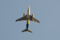 140-dsc_5394.jpg.small.jpeg