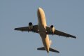 144-dsc_5415.jpg.small.jpeg