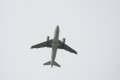 033-dsc_5950.jpg.small.jpeg