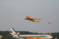 009-dsc_6525.jpg.small.jpeg