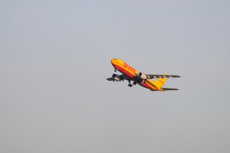 012-dsc_6531.jpg.medium.jpeg