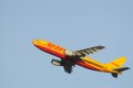 019-dsc_6546.jpg.small.jpeg