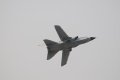 006-dsc_8078.jpg.small.jpeg