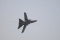 009-dsc_8083.jpg.small.jpeg
