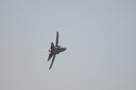 011-dsc_8085.jpg.medium.jpeg