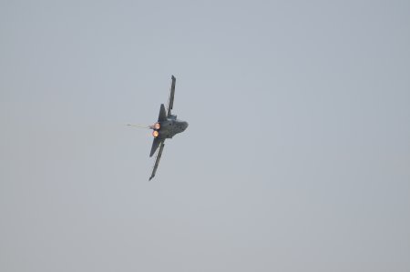 013-dsc_8088.jpg.medium.jpeg