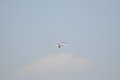 015-dsc_8094.jpg.small.jpeg