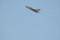 016-dsc_8098.jpg.small.jpeg