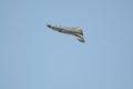 019-dsc_8102.jpg.small.jpeg