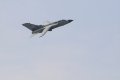 026-dsc_8116.jpg.small.jpeg