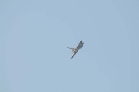 040-dsc_8144.jpg.medium.jpeg
