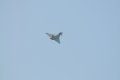 041-dsc_8147.jpg.small.jpeg