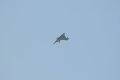 042-dsc_8150.jpg.small.jpeg