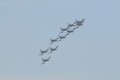061-dsc_8197.jpg.small.jpeg