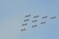 062-dsc_8199.jpg.small.jpeg