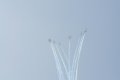 081-dsc_8222.jpg.small.jpeg