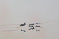 085-dsc_8231.jpg.small.jpeg