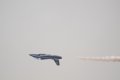 089-dsc_8247.jpg.small.jpeg