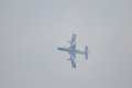 113-dsc_8302.jpg.small.jpeg