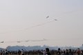 127-dsc_8352.jpg.small.jpeg