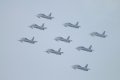 143-dsc_8378.jpg.small.jpeg