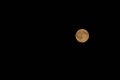 164-dsc_8441.jpg.small.jpeg