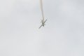 036-dsc_4556.jpg.small.jpeg
