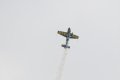 038-dsc_4565.jpg.small.jpeg