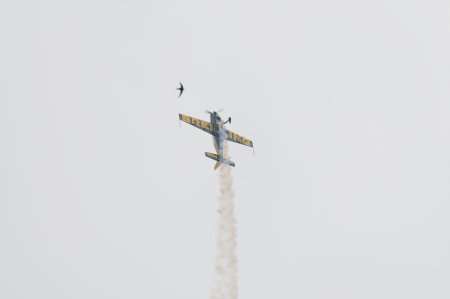042-dsc_4569.jpg.medium.jpeg