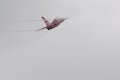 099-dsc_4736.jpg.small.jpeg