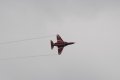 101-dsc_4742.jpg.small.jpeg