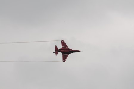 102-dsc_4743.jpg.medium.jpeg